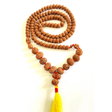 Indonesian 1 - 14 Mukhi Rudraksha Mala - Himalaya Rudraksha Anusandhan Kendra