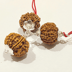 Kal Sarp Dosh Nivaran Kawach - Himalaya Rudraksha Anusandhan Kendra