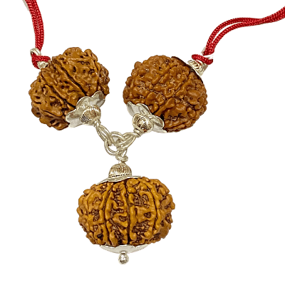 Kal Sarp Dosh Nivaran Kawach - Himalaya Rudraksha Anusandhan Kendra