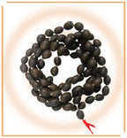 Kamalgatta Mala - Himalaya Rudraksha Anusandhan Kendra