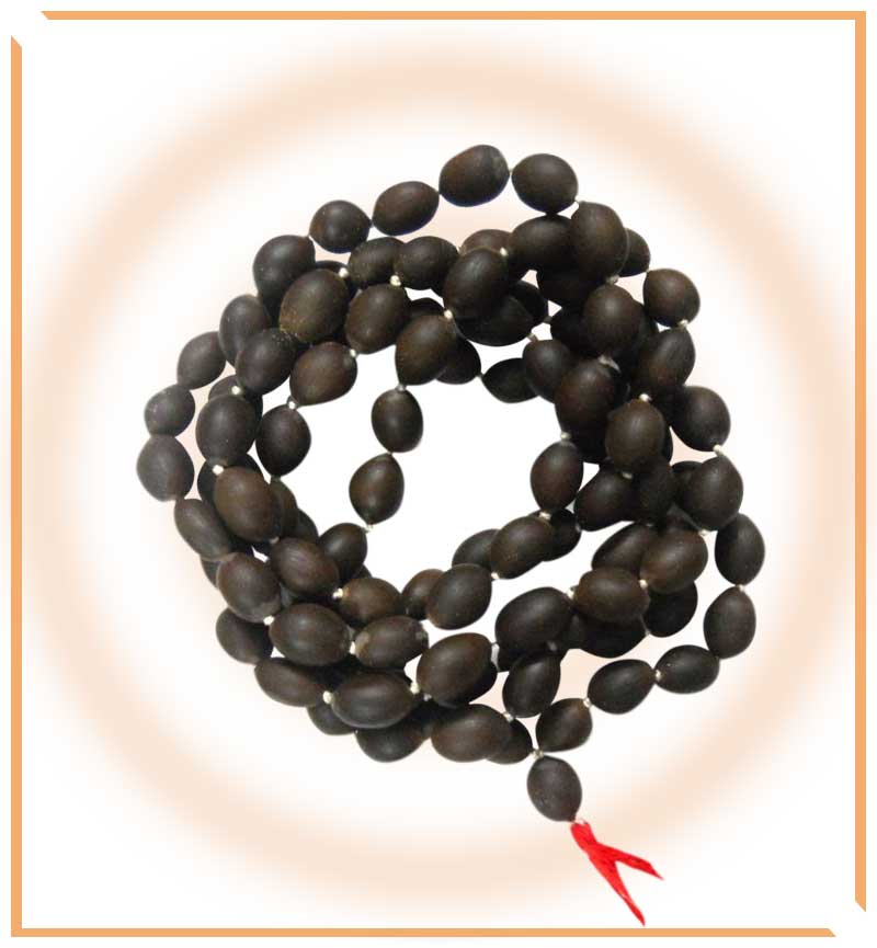 Kamalgatta Mala - Himalaya Rudraksha Anusandhan Kendra