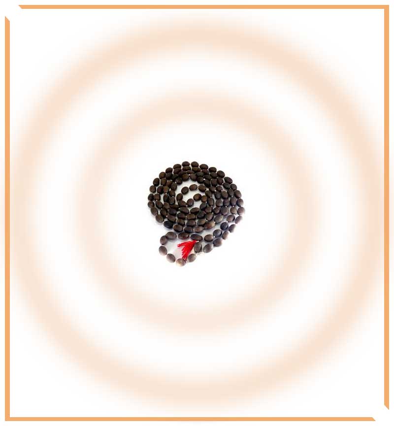 Kamalgatta Mala - Himalaya Rudraksha Anusandhan Kendra