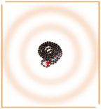 Kamalgatta Mala - Himalaya Rudraksha Anusandhan Kendra