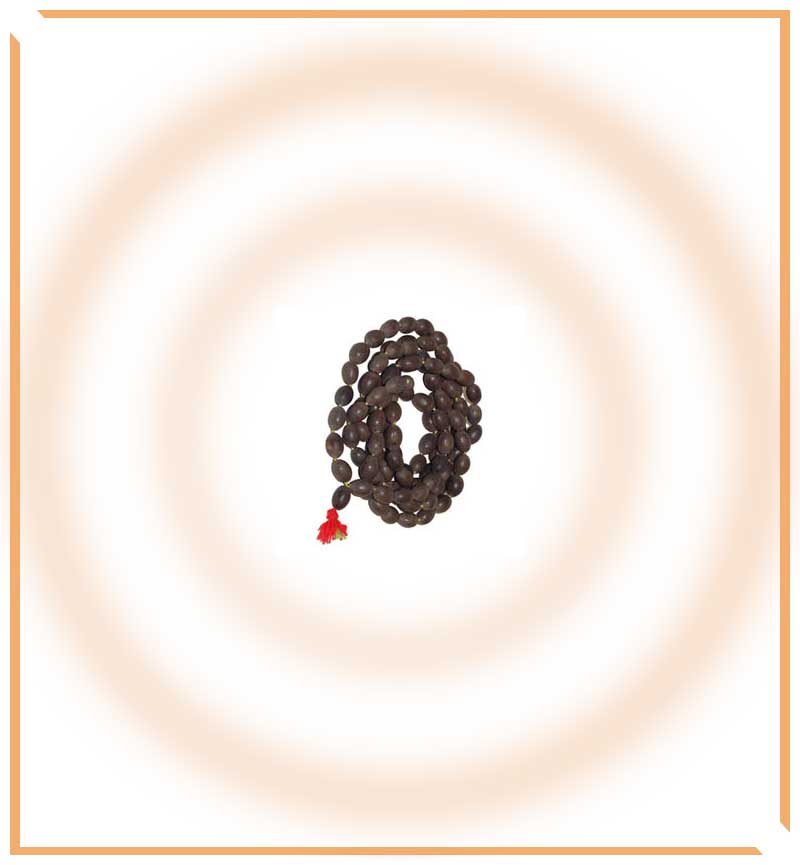 Kamalgatta Mala - Himalaya Rudraksha Anusandhan Kendra