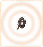 Kamalgatta Mala - Himalaya Rudraksha Anusandhan Kendra
