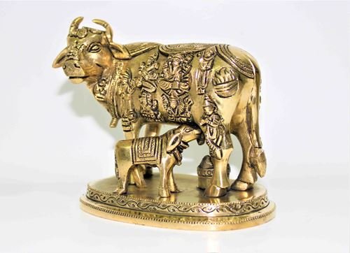 Kamdhenu Cow - Himalaya Rudraksha Anusandhan Kendra