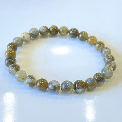 Labrodorite Stone Bracelet - Himalaya Rudraksha Anusandhan Kendra