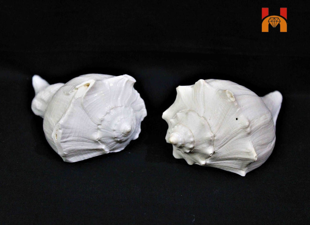 Lakshmi Narayan Shankh - Himalaya Rudraksha Anusandhan Kendra