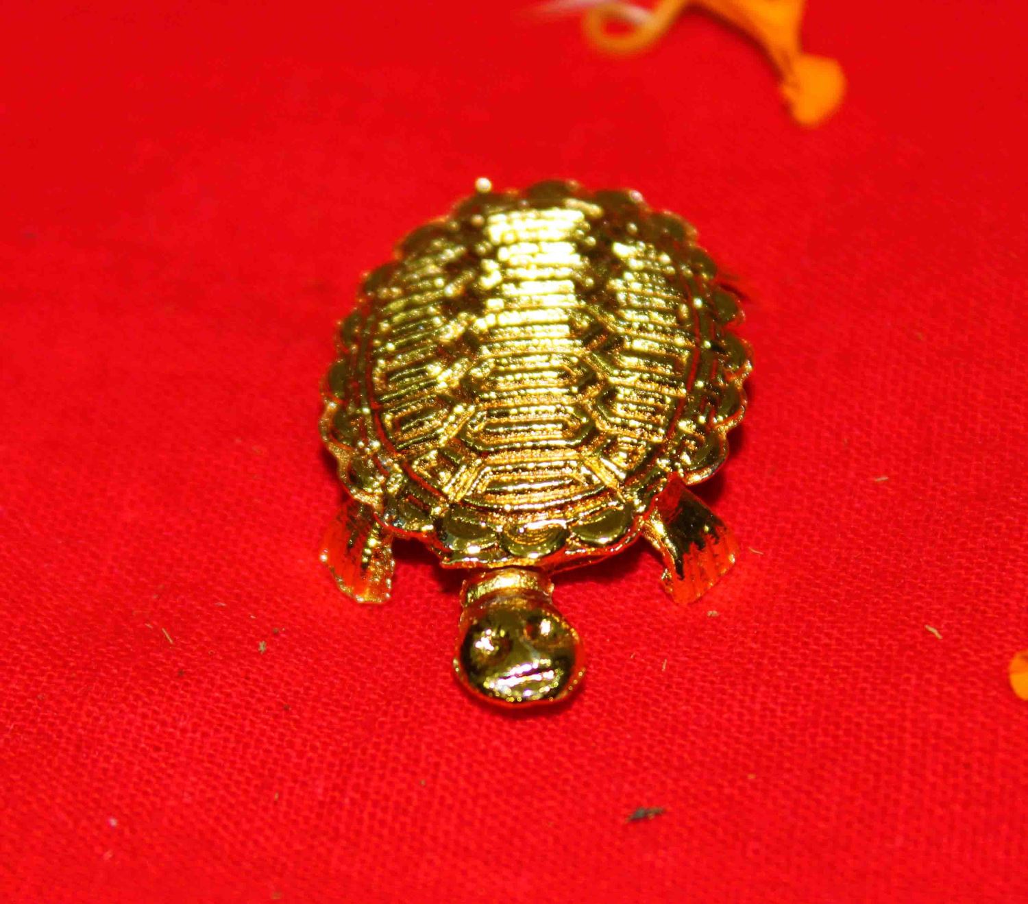 Lakshmi Poojan Collection - Himalaya Rudraksha Anusandhan Kendra