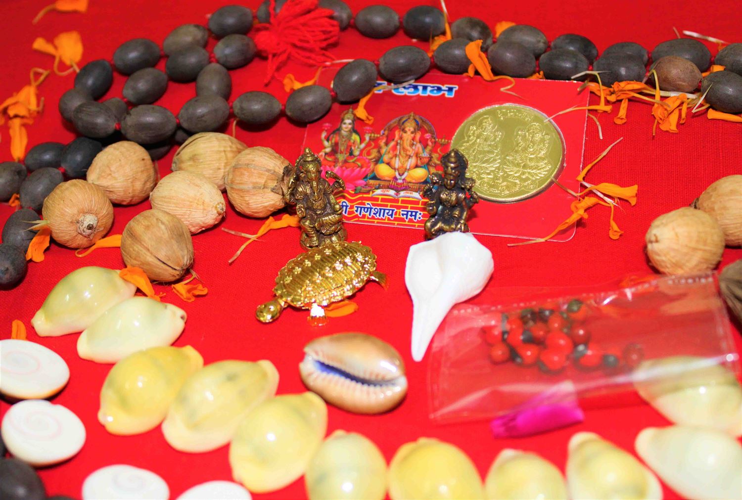 Lakshmi Poojan Collection - Himalaya Rudraksha Anusandhan Kendra