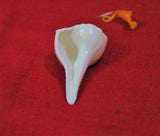 Lakshmi Poojan Collection - Himalaya Rudraksha Anusandhan Kendra