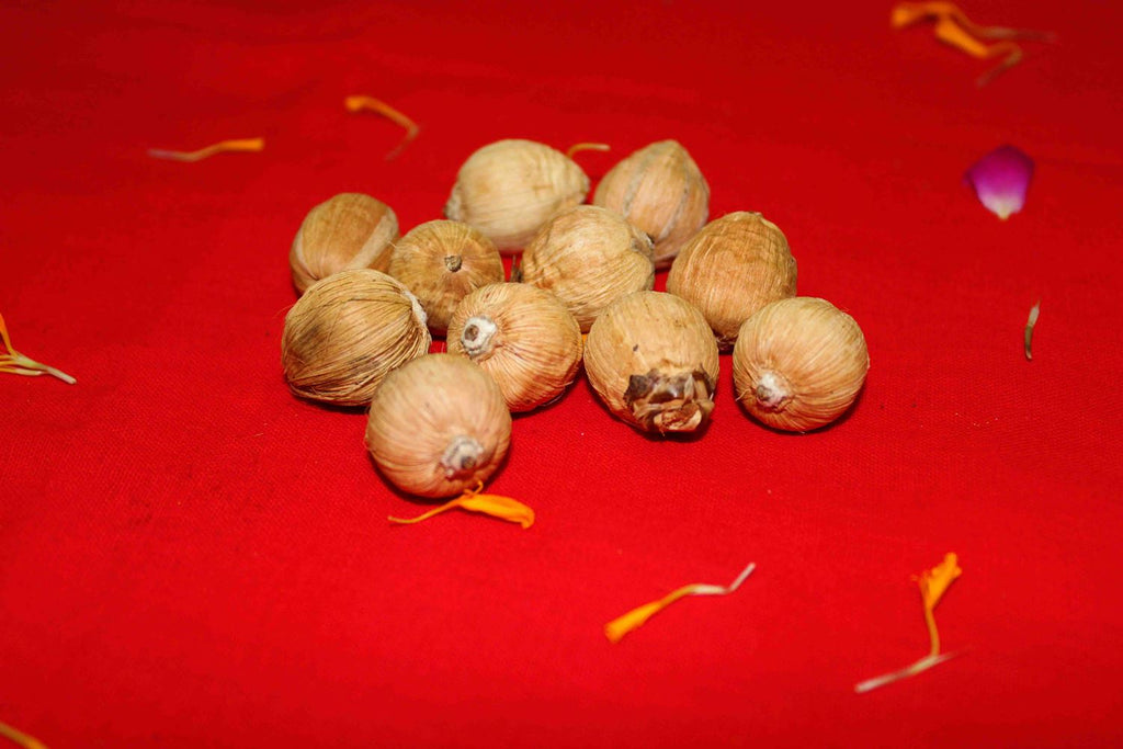Lakshmi Poojan Collection - Himalaya Rudraksha Anusandhan Kendra