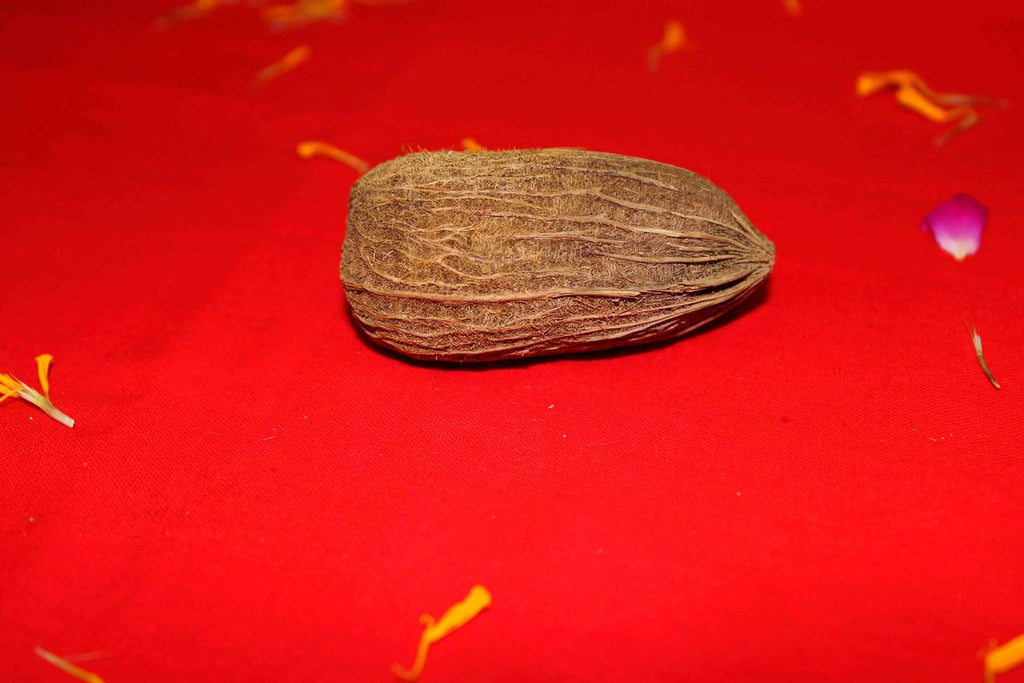 Lakshmi Poojan Collection - Himalaya Rudraksha Anusandhan Kendra