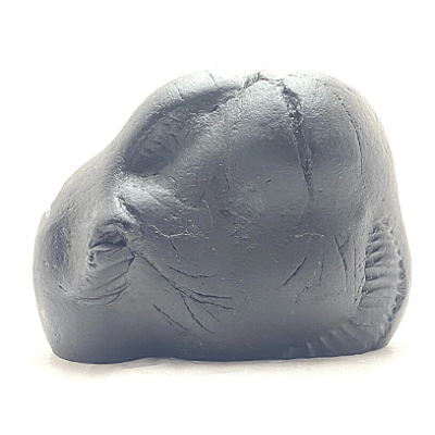 Lakshmi Vishnu Carved Shaligram - Himalaya Rudraksha Anusandhan Kendra