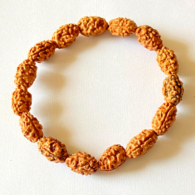 natural 2 mukhi rudraksha bracelet