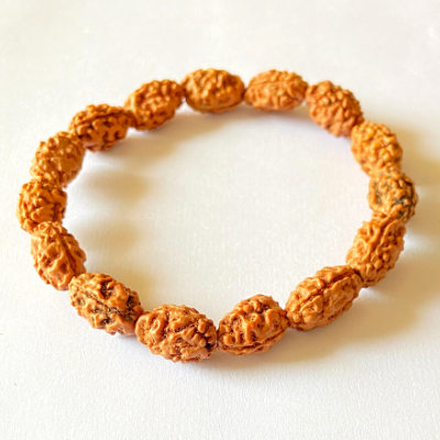 2 mukhi rudraksha bracelet