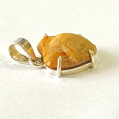 Machmani Silver Pendant - Himalaya Rudraksha Anusandhan Kendra