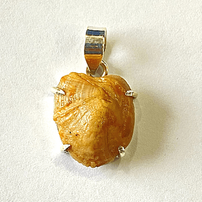 Machmani Silver Pendant - Himalaya Rudraksha Anusandhan Kendra