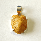 Machmani Silver Pendant - Himalaya Rudraksha Anusandhan Kendra