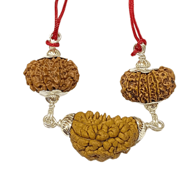 Narayan Rudraksha Kawach - Himalaya Rudraksha Anusandhan Kendra