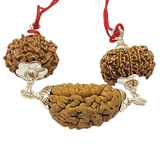 Narayan Rudraksha Kawach - Himalaya Rudraksha Anusandhan Kendra