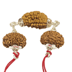 Narayan Rudraksha Kawach - Himalaya Rudraksha Anusandhan Kendra