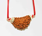 Natural 1 Face/Mukhi Rudraksha - Himalaya Rudraksha Anusandhan Kendra