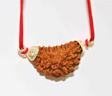 Natural 1 Face/Mukhi Rudraksha - Himalaya Rudraksha Anusandhan Kendra