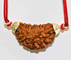 Natural 1 Face/Mukhi Rudraksha - Himalaya Rudraksha Anusandhan Kendra