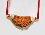 Natural 1 Face/Mukhi Rudraksha - Himalaya Rudraksha Anusandhan Kendra