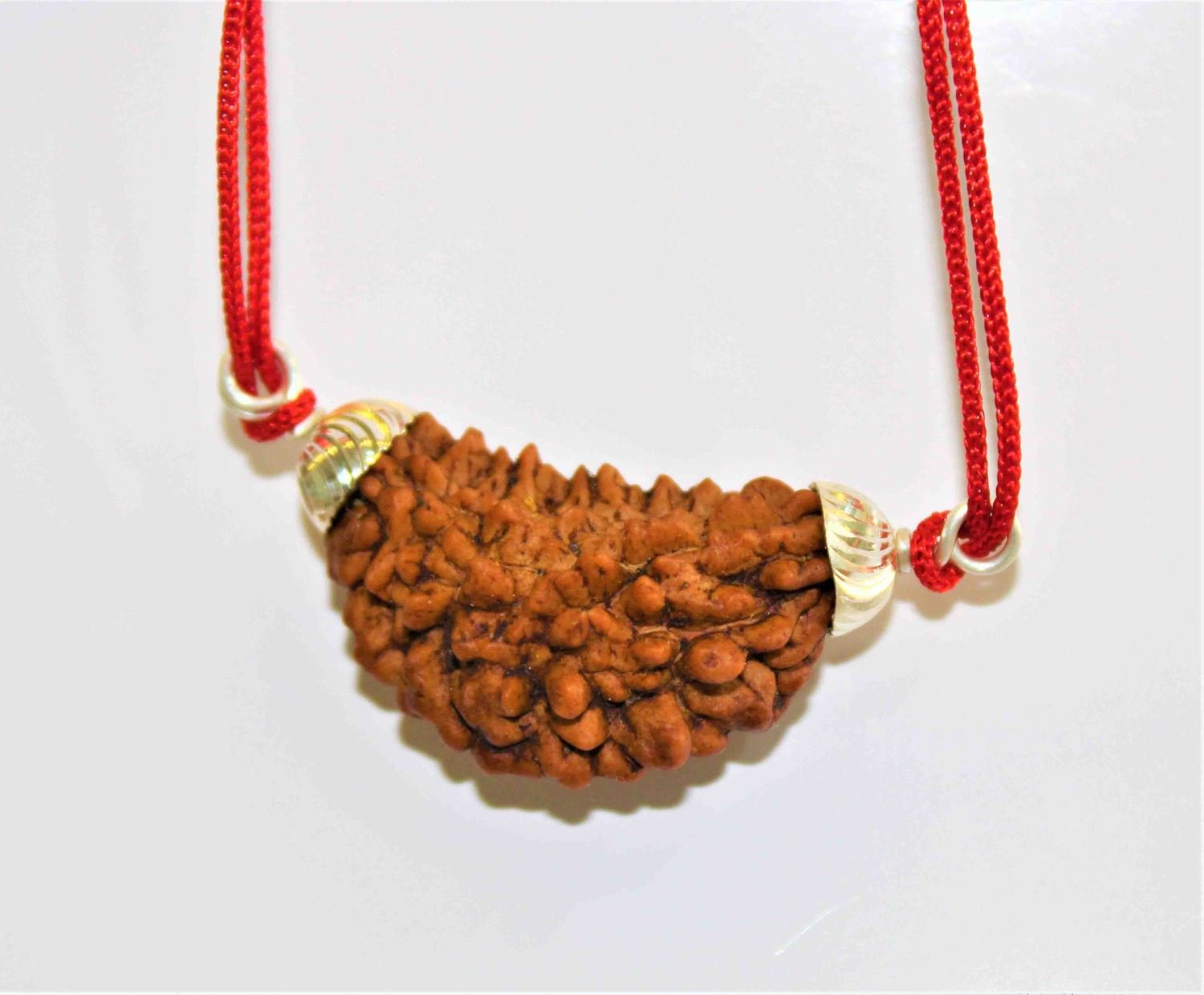 Natural 1 Face/Mukhi Rudraksha - Himalaya Rudraksha Anusandhan Kendra
