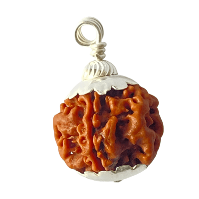 Natural 1 Mukhi Rudraksha (Nepal Origin) - Himalaya Rudraksha Anusandhan Kendra