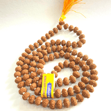 Natural 10 Mukhi Rudraksha Mala (108 +1 Beads) - Indonesian - Himalaya Rudraksha Anusandhan Kendra