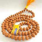 Natural 10 Mukhi Rudraksha Mala (108 +1 Beads) - Indonesian - Himalaya Rudraksha Anusandhan Kendra