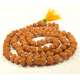 Natural 11 Mukhi Rudraksha Mala (108 + 1Beads) - Himalaya Rudraksha Anusandhan Kendra