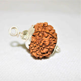 Natural 12 Mukhi/Face Rudraksha (Nepal Origin) - Himalaya Rudraksha Anusandhan Kendra