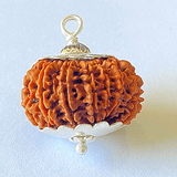 Natural 14 Mukhi/Face Rudraksha (Nepal Origin - 30 mm apx) - Himalaya Rudraksha Anusandhan Kendra
