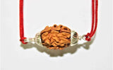 Natural 2 Mukhi Rudraksha (Himalaya origin) - Himalaya Rudraksha Anusandhan Kendra