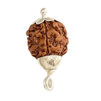 Natural 3 Mukhi/Face Rudraksha (Nepal Origin) - Himalaya Rudraksha Anusandhan Kendra
