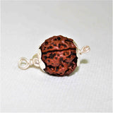 Natural 4 Mukhi/Face Rudraksha (Nepal Origin) - Himalaya Rudraksha Anusandhan Kendra