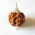 Natural 5 Mukhi Rudraksha (Nepal Origin - Collector Size) - Himalaya Rudraksha Anusandhan Kendra