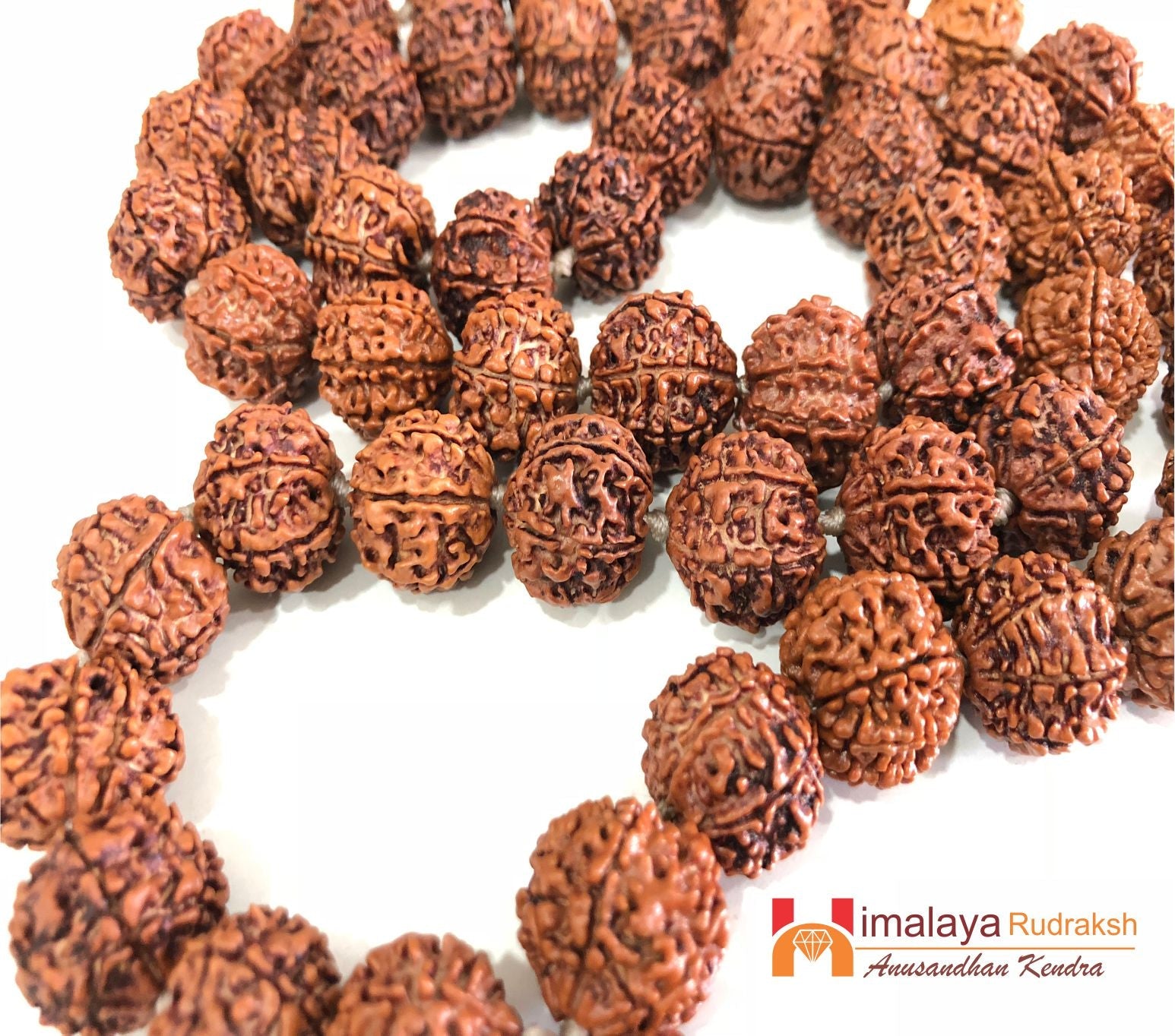 Natural 7 Mukhi/Face Rudraksh Mala (Nepal Origin) - Himalaya Rudraksha Anusandhan Kendra