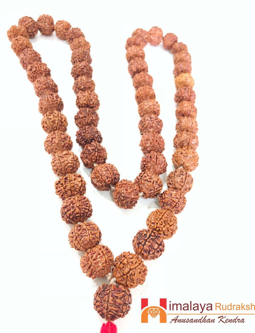 Natural 7 Mukhi/Face Rudraksh Mala (Nepal Origin) - Himalaya Rudraksha Anusandhan Kendra