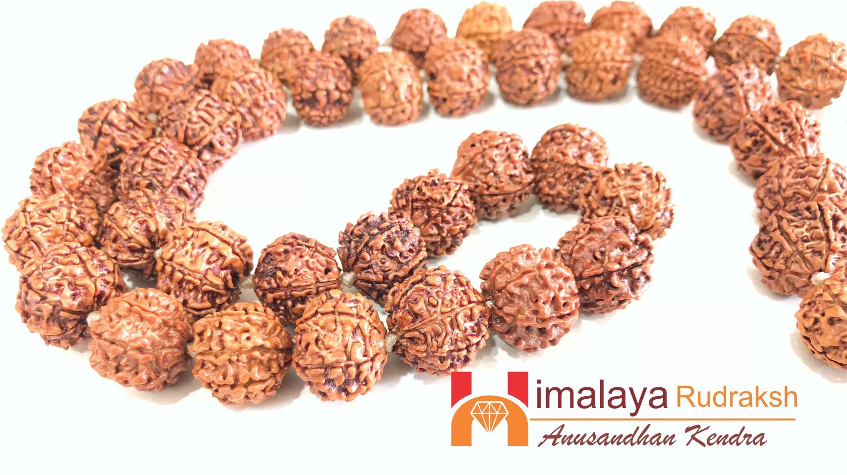 Natural 7 Mukhi/Face Rudraksh Mala (Nepal Origin) - Himalaya Rudraksha Anusandhan Kendra