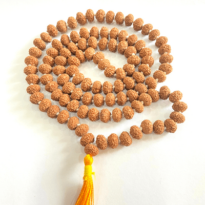 Natural 8 Mukhi Rudraksh Mala (108 + 1 Beads - Indonesian) - Himalaya Rudraksha Anusandhan Kendra