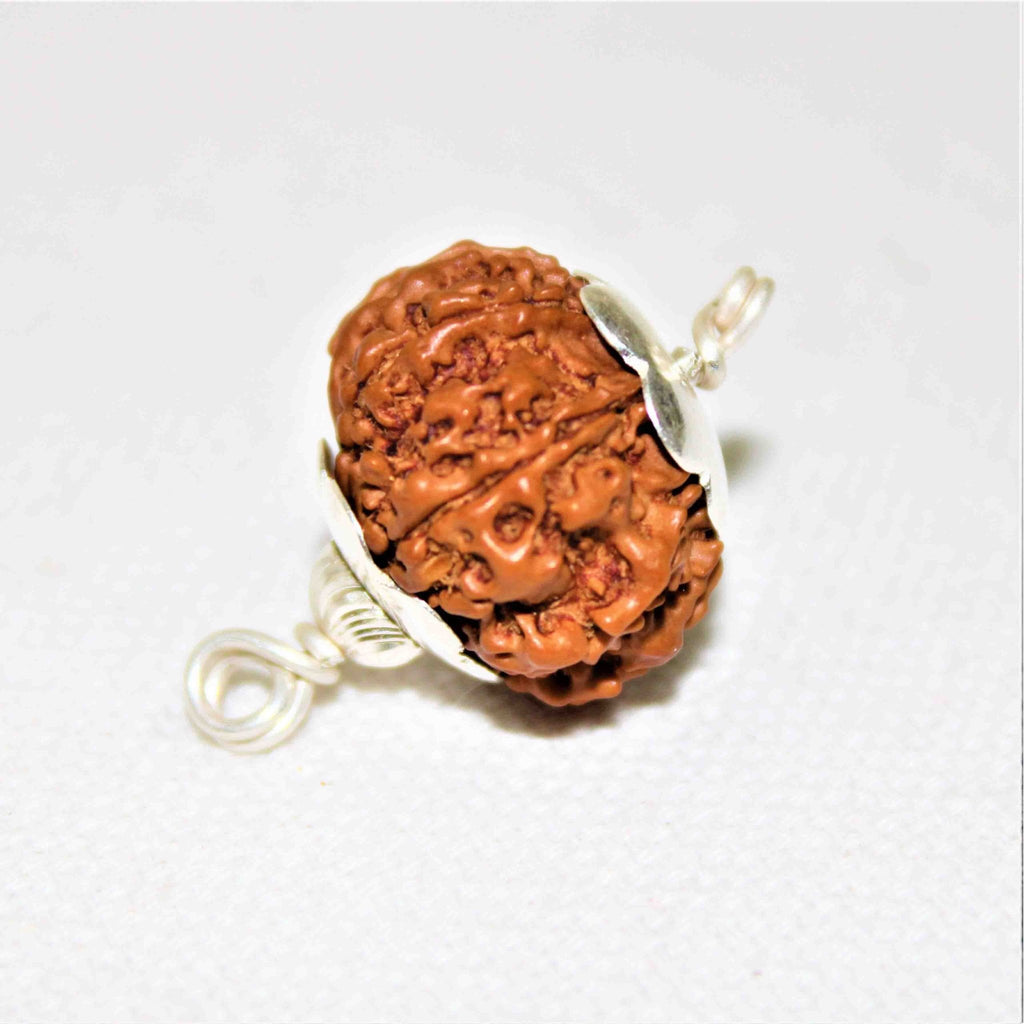 Natural 8 Mukhi/Face Rudraksha (Nepal Origin) - Himalaya Rudraksha Anusandhan Kendra