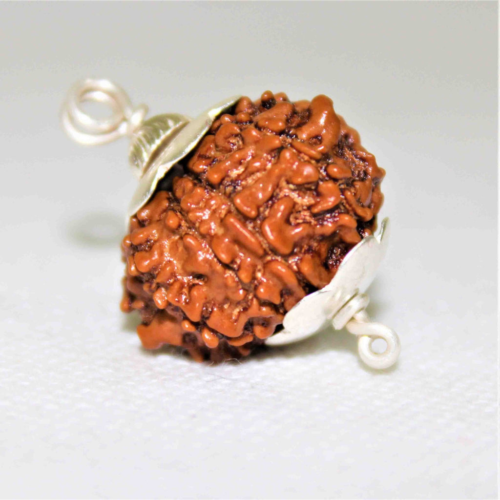 Natural 9 Mukhi Rudraksha (Nepal Origin - Super Collector Size) - Himalaya Rudraksha Anusandhan Kendra