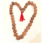 Natural Ganesh Rudraksha Kantha - Himalaya Rudraksha Anusandhan Kendra