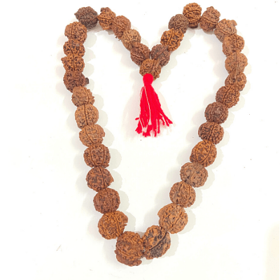 Natural Ganesh Rudraksha Kantha - Himalaya Rudraksha Anusandhan Kendra