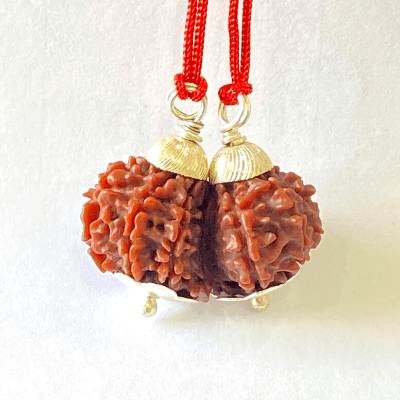 Natural Gaurishankar Rudraksha (Nepal Origin - Collector Size) - Himalaya Rudraksha Anusandhan Kendra